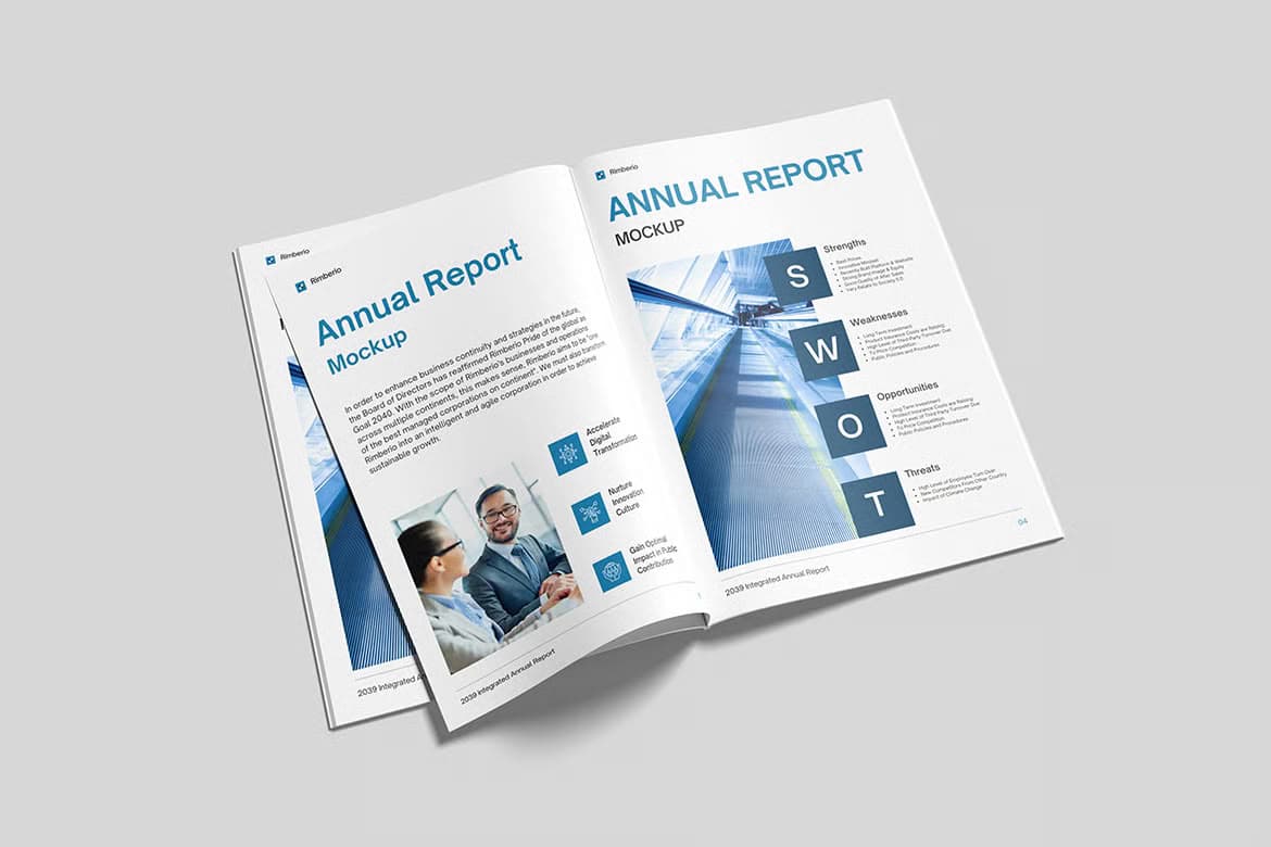 Презентации и годовые отчеты (премиум)